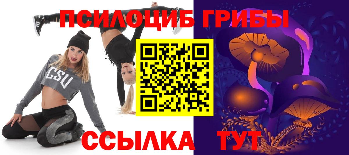 Галлюциногенные грибы Psilocybine cubensis Норильск